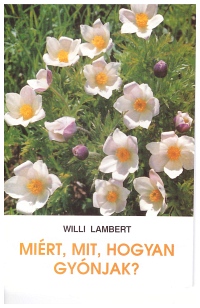 Miért, mit, hogyan gyónjak?